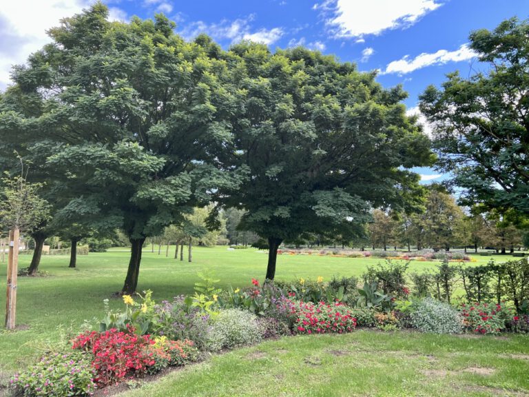 20220918 115239 3171