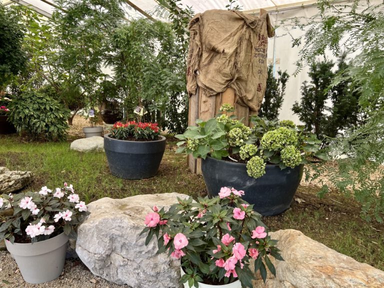 20220918 115913 3176