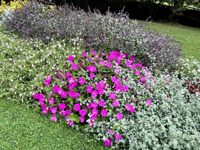 20220918 120334 3180