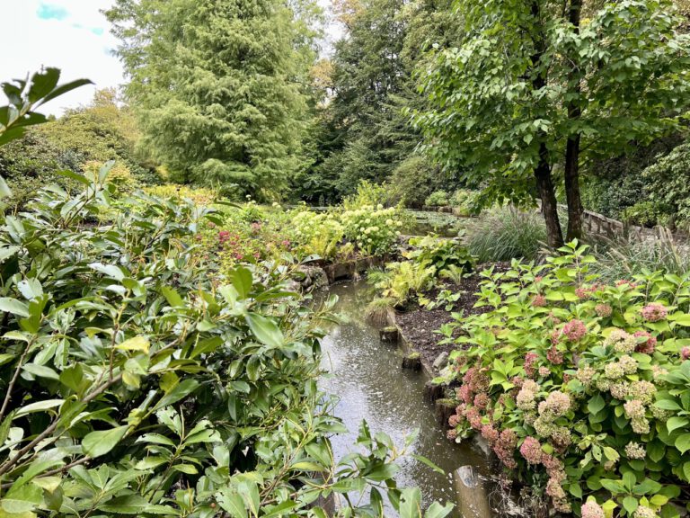 20220918 121049 3187