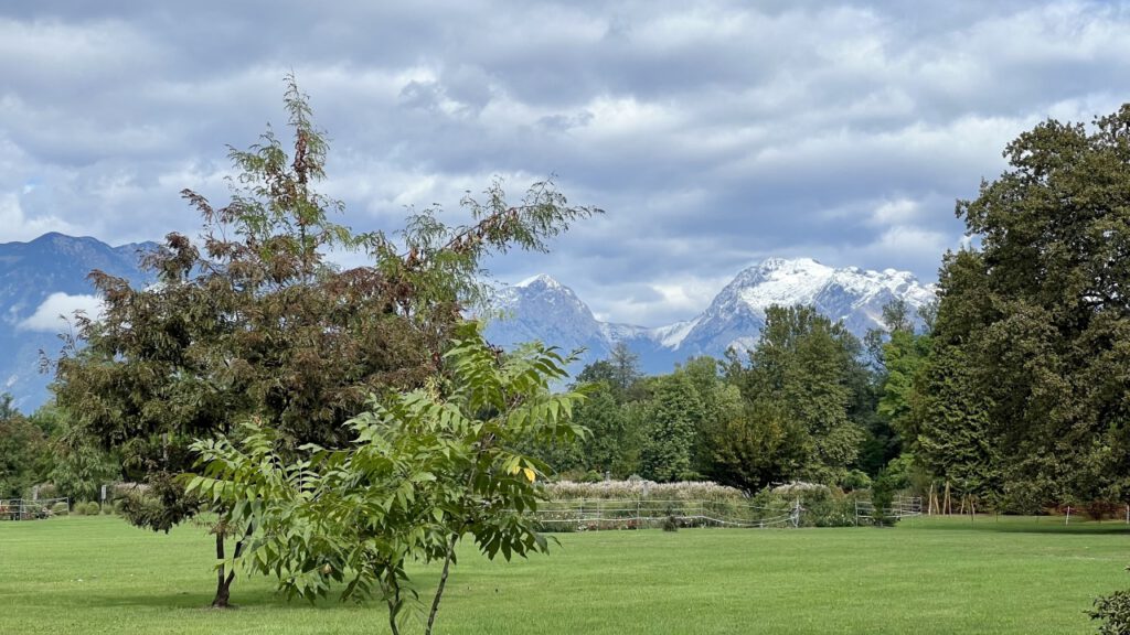 20220918 123223 3196