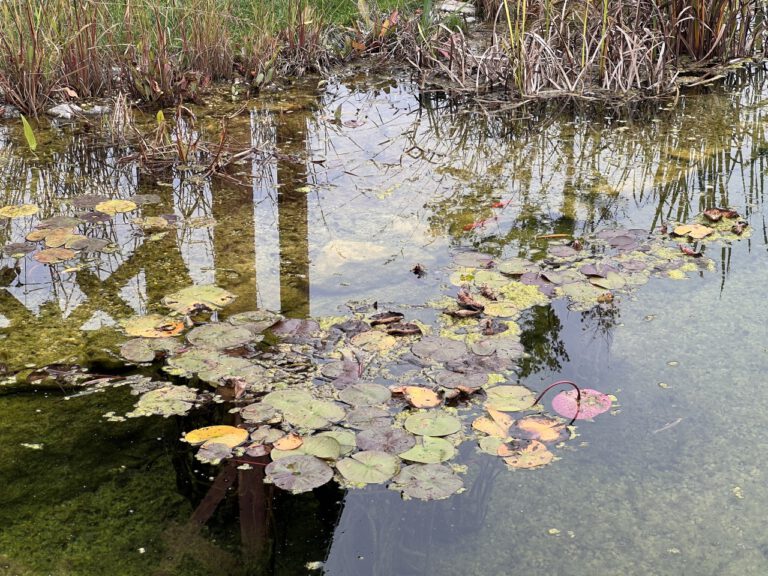 20221015 154515 3368