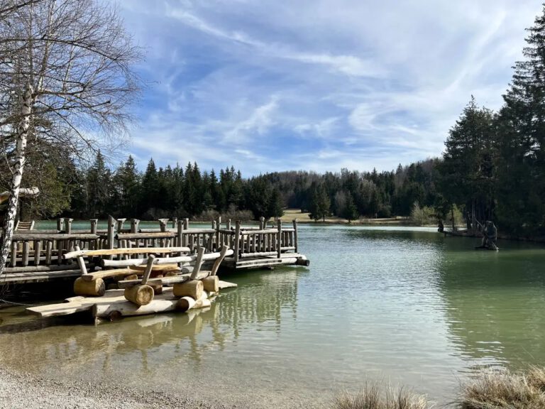 20230313_143336_4733