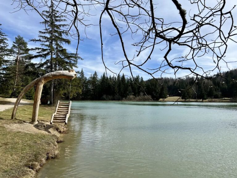 20230313_143411_4734