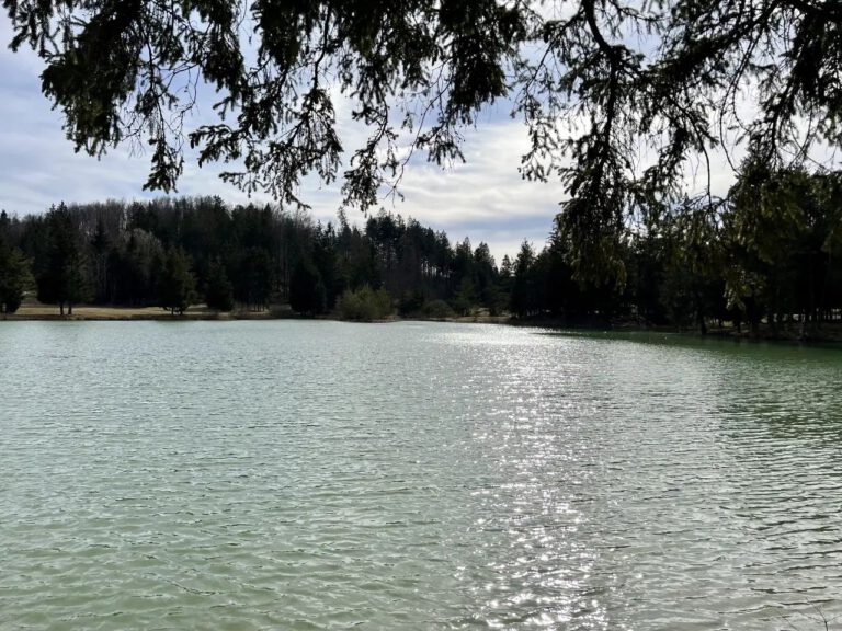 20230313_143627_4736