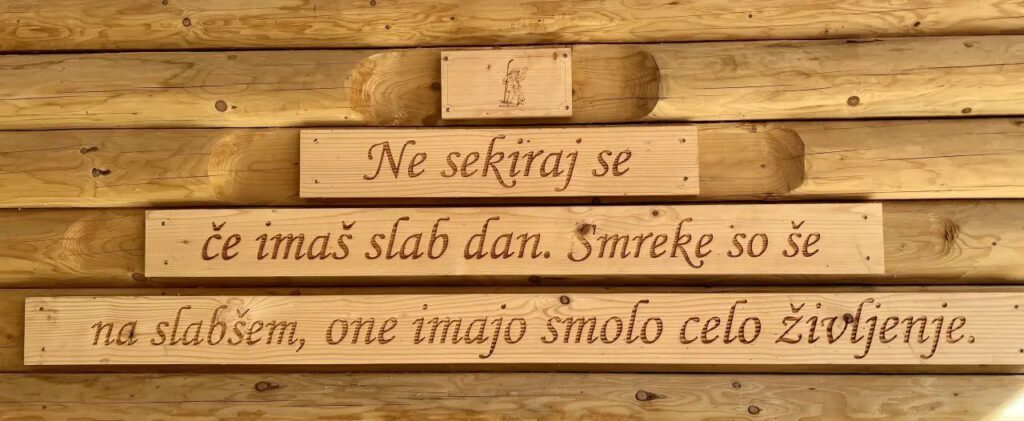 20230313_143924_4737