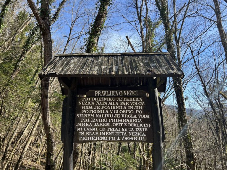 20230318_150239_4782