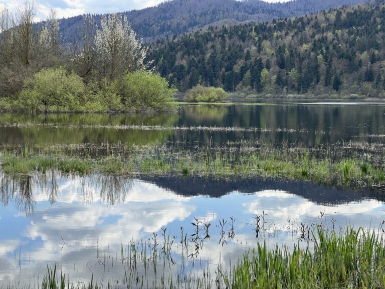 20230427 154048 5075