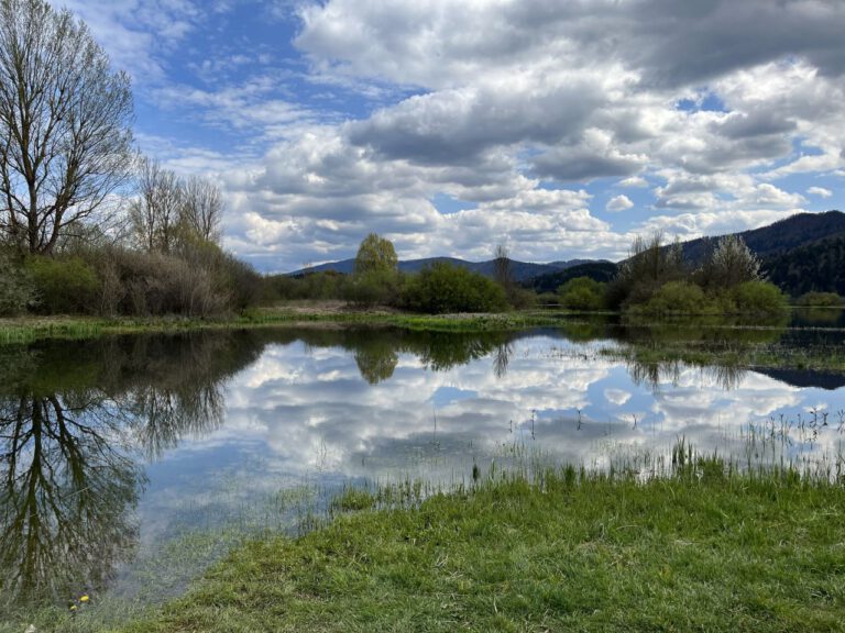 20230427 154057 5076