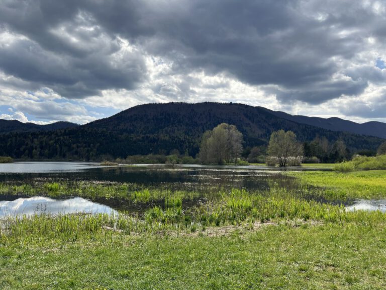 20230427 154519 5085