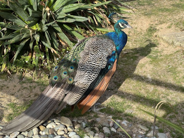 20230905 173000 0380