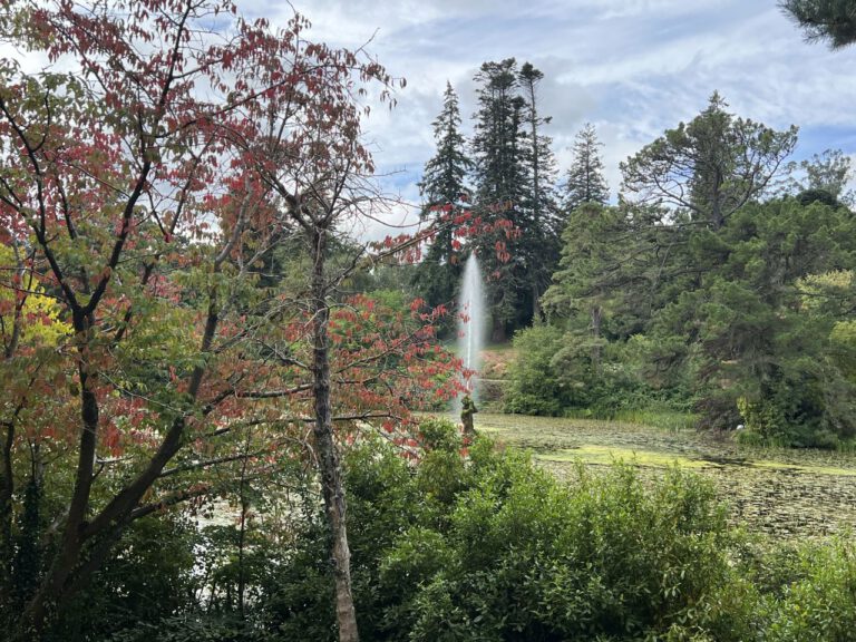 20230906 112414 0469