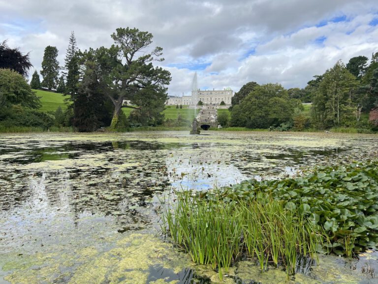 20230906 112738 0471