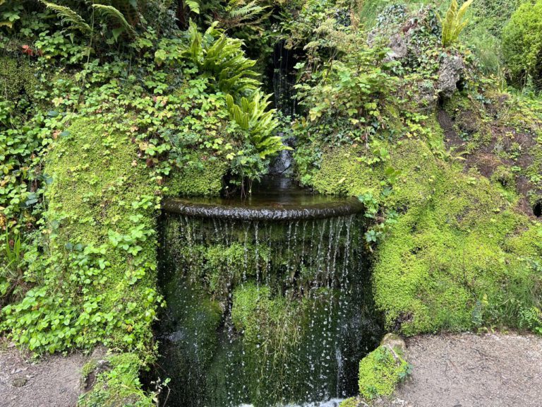 20230906 113031 0478