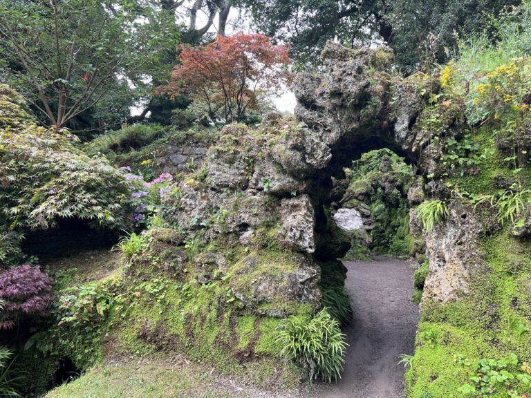 20230906 113104 0481