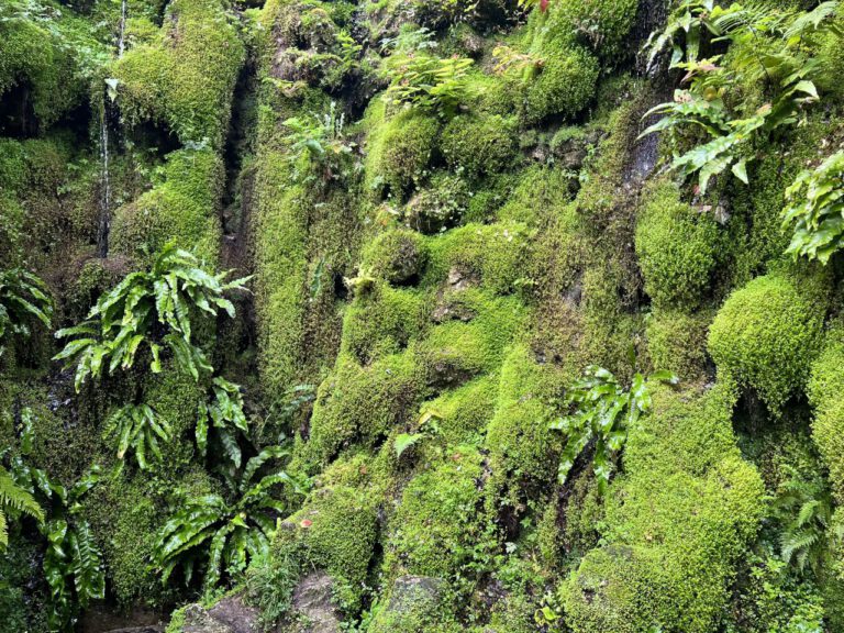 20230906 113139 0483