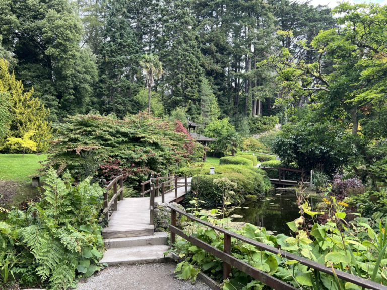 20230906 113304 0487