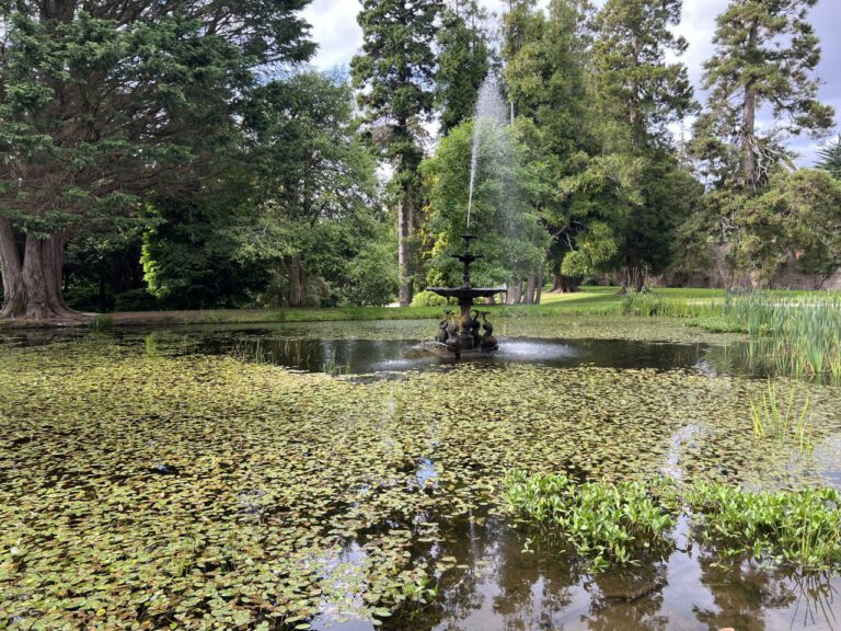 20230906 114310 0492