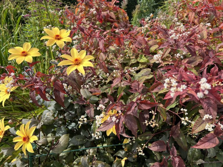 20230906 114453 0496