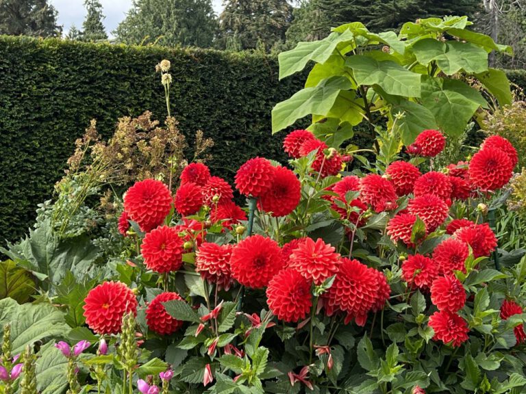 20230906 114514 0497