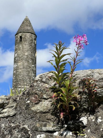 20230906 132207 0528