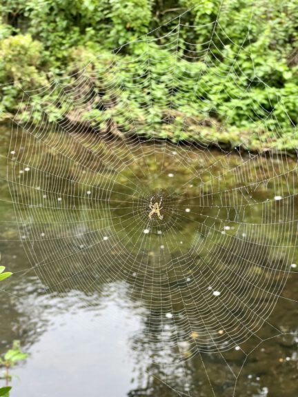 20230908 091530 0799