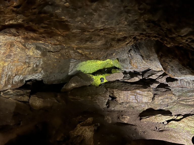 20230908 092404 0812