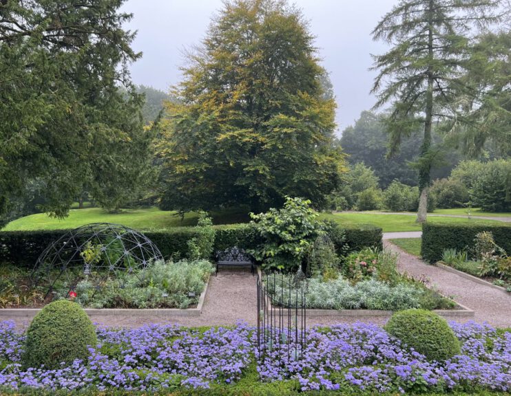 20230908 095130 0832