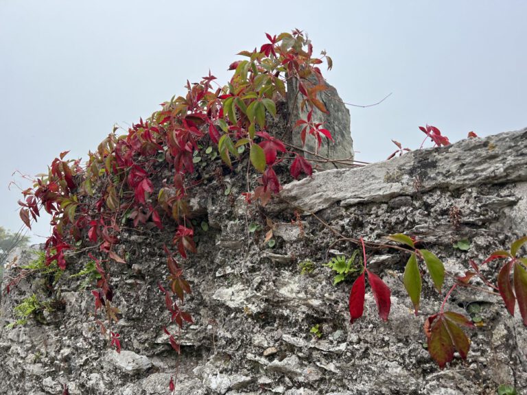 20230908 095150 0834