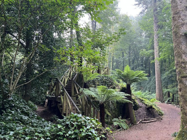 20230908 100212 0837