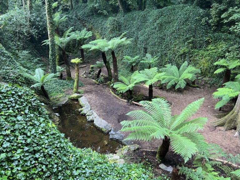 20230908 100301 0838