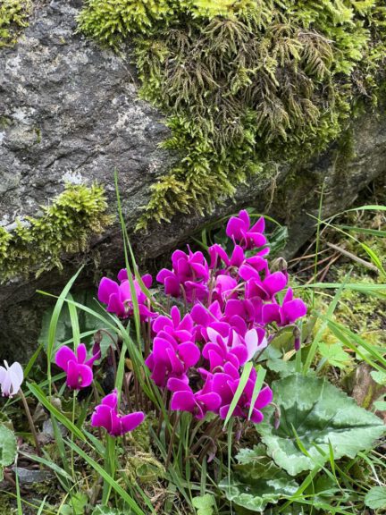 20230908 102347 0856