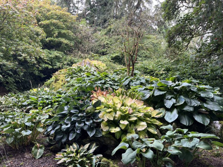 20230908 103147 0867