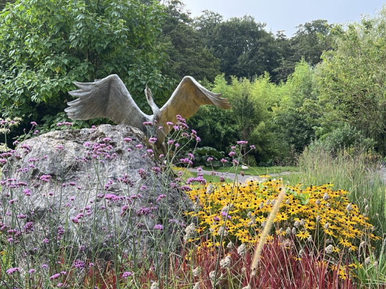 20230908 104331 0894