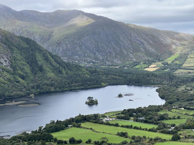 20230908 135231 0931