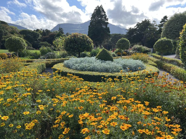 20230908 160132 1002