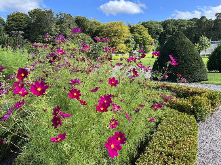 20230908 160150 1003