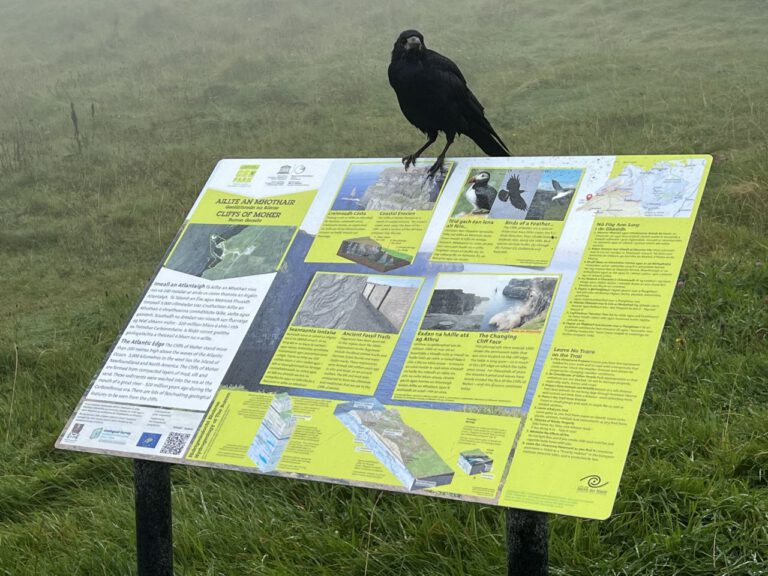 20230909 113525 1133