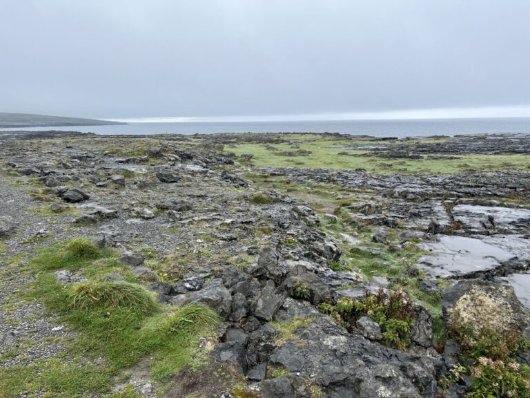 20230909 122930 1139