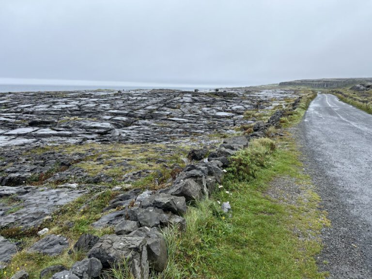 20230909 122935 1140