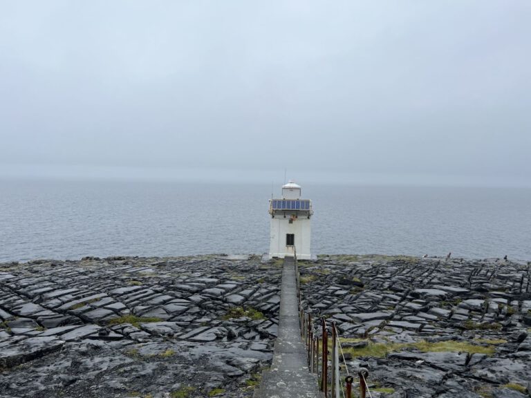 20230909 125455 1150