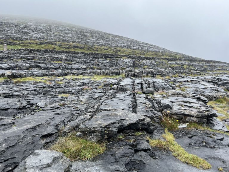 20230909 125632 1154