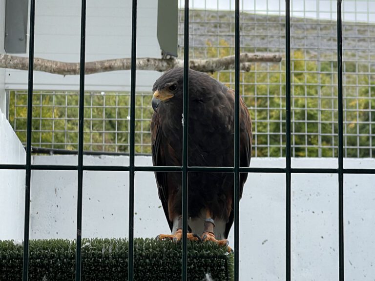 20230909 133044 1156