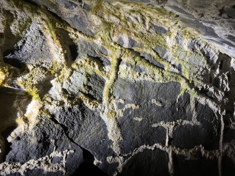 20230909 142509 1186