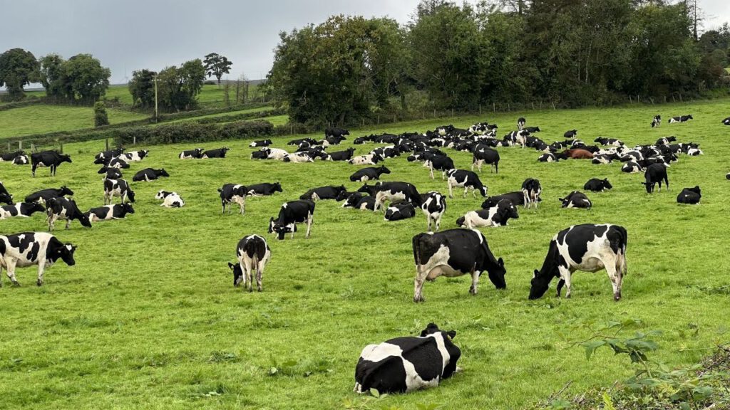 20230910 135906 1369