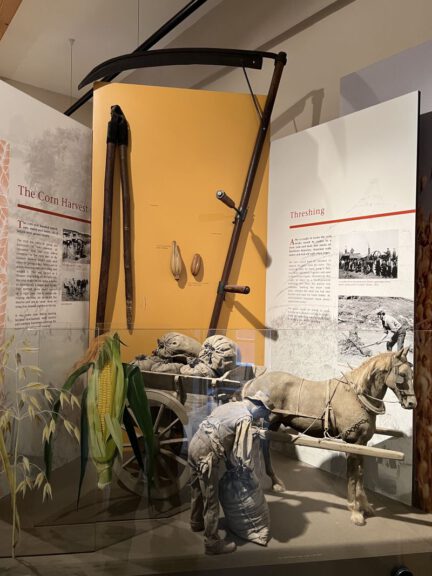 20230910 140842 1376