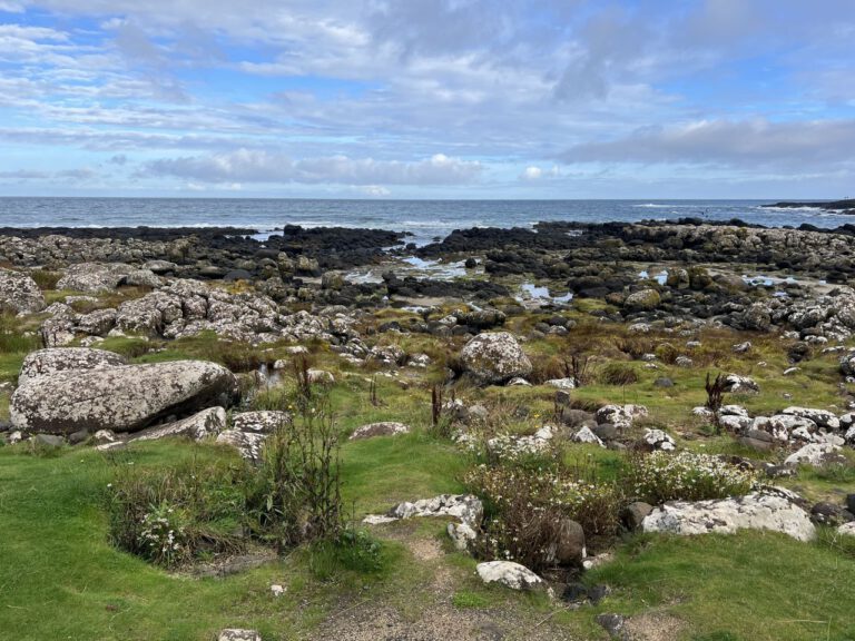 20230911 095139 1468