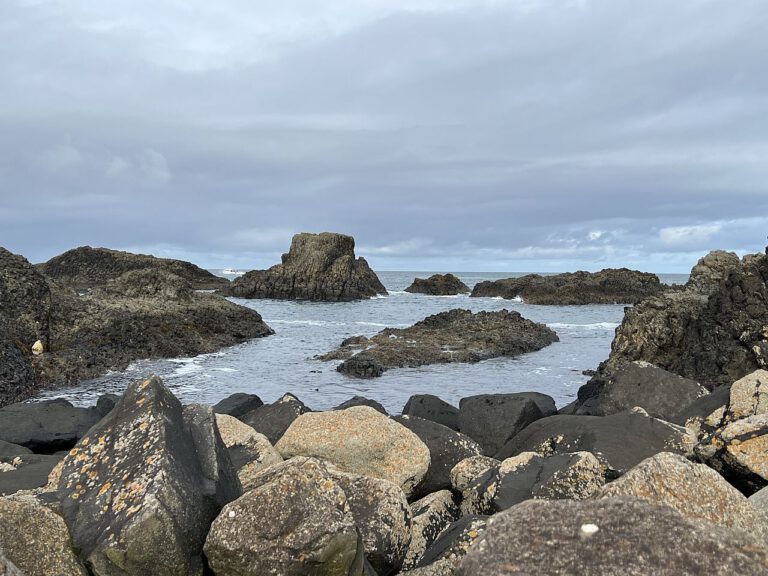 20230911 111909 1509