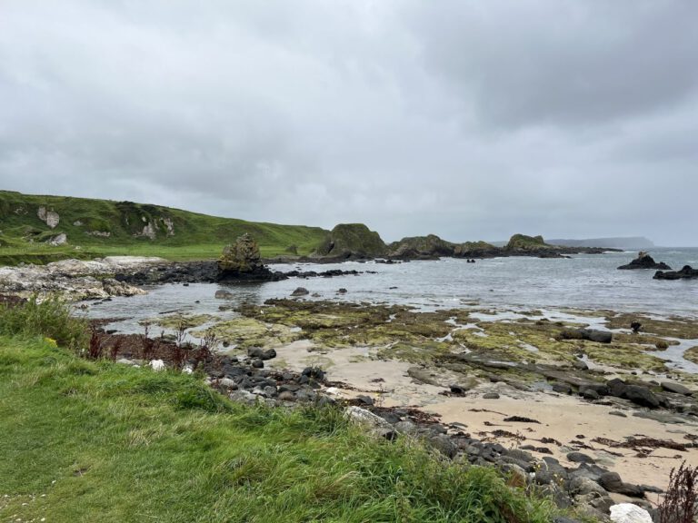 20230911 114937 1523