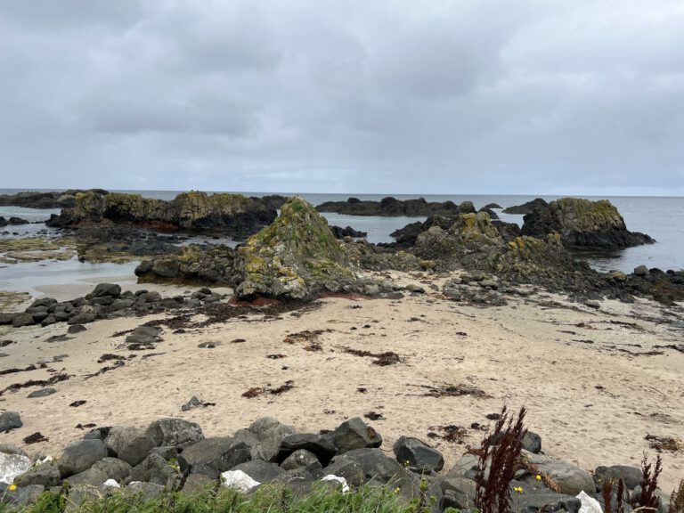 20230911 114940 1524